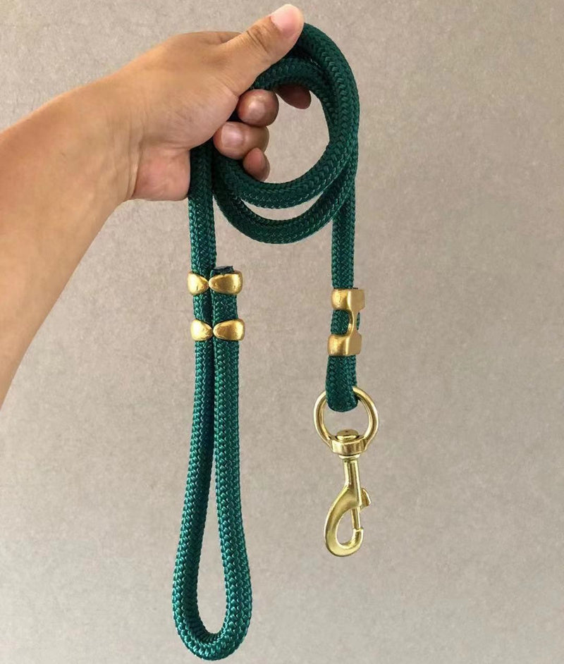 Laisse promenade nylon largeur 1.5cm