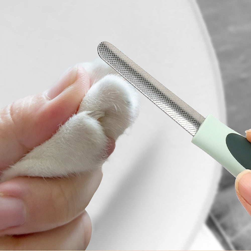 Kit toilettage contenu détaillé des accessoires
