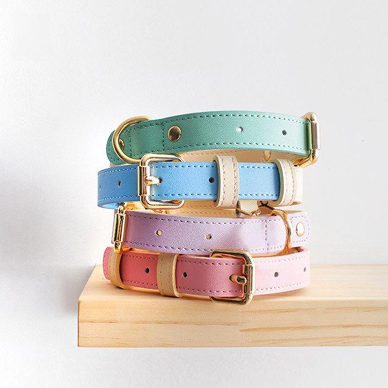 Collier en cuir bicolore pour chien - Bête de boutique
