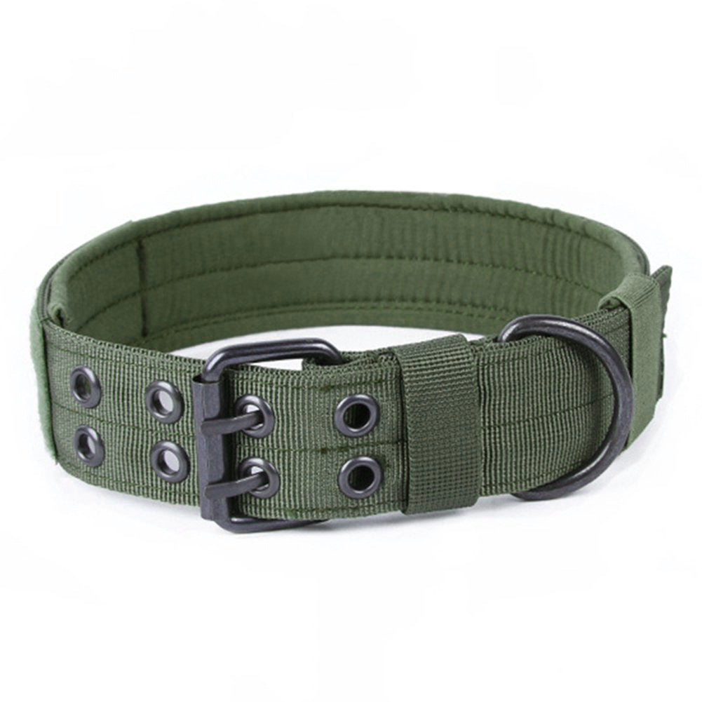 Collier nylon anneau D boucle métal solide