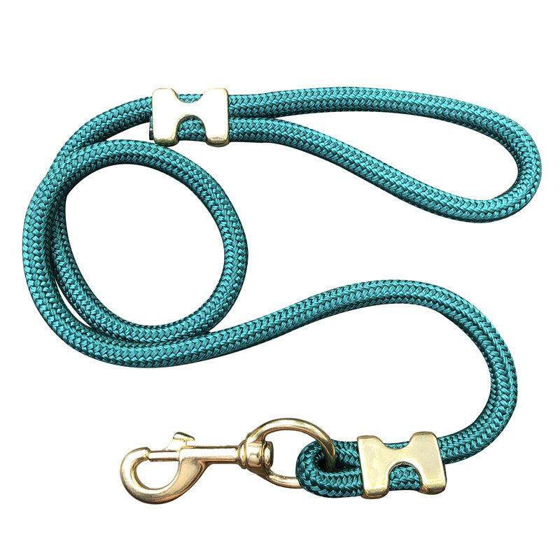Laisse promenade nylon coloris bleu