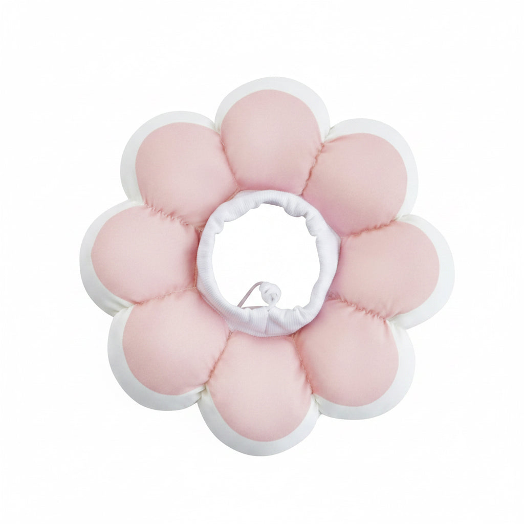 Collerette protection post-opératoire forme fleur