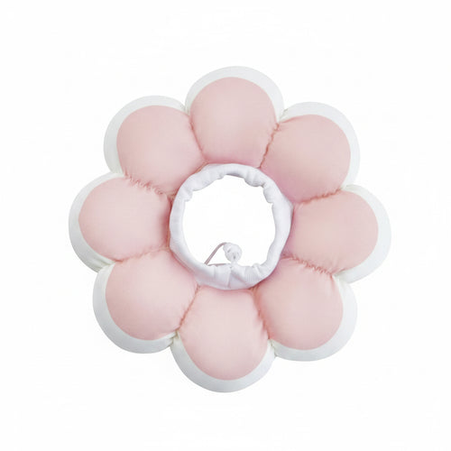 Collerette protection post-opératoire forme fleur