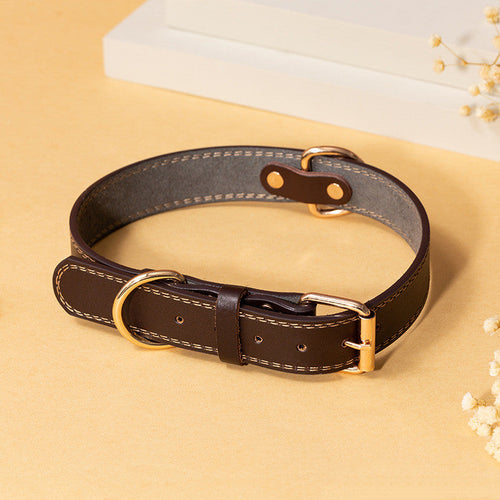 Collier en cuir marron pour chien porté