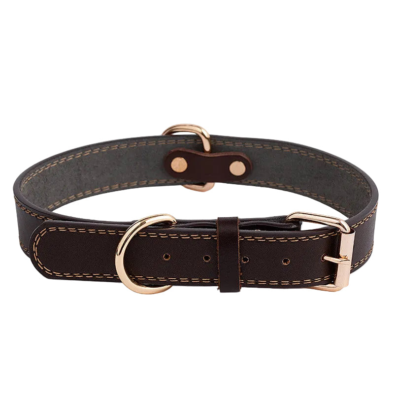 Collier en cuir pour chien vue de détail de la boucle