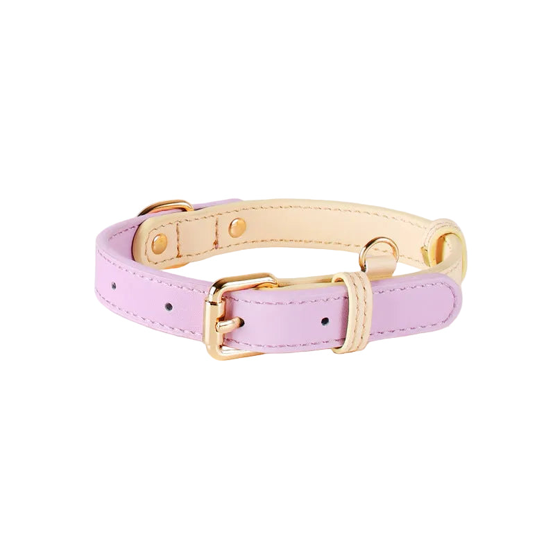 Collier en cuir bicolore boucle et finitions