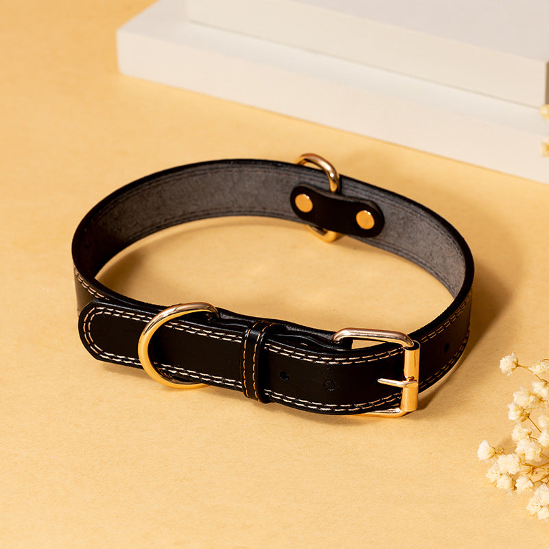 Collier en Cuir pour Chien - Noir ou Marron